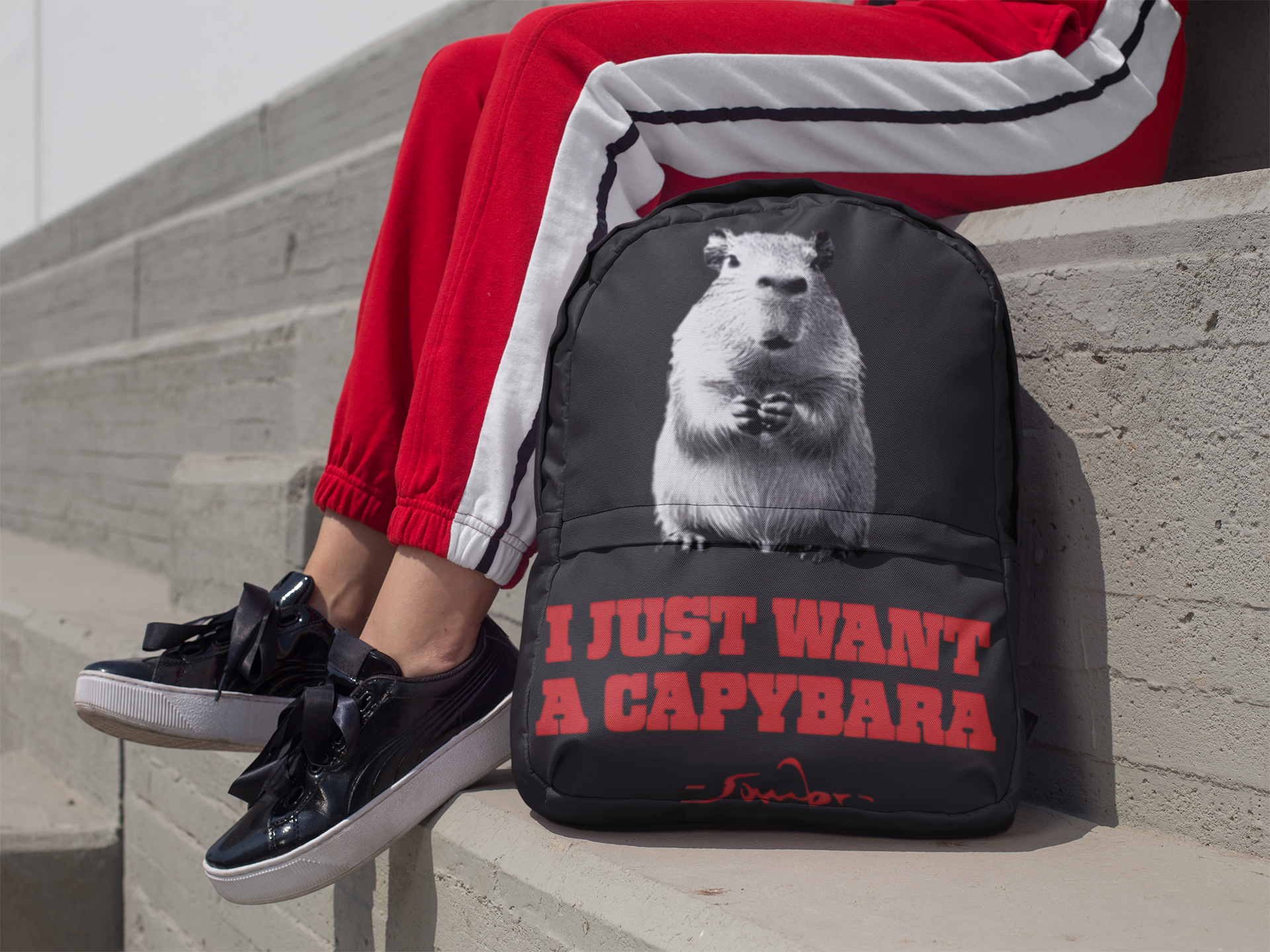 I Just Want A Capybara Backpack